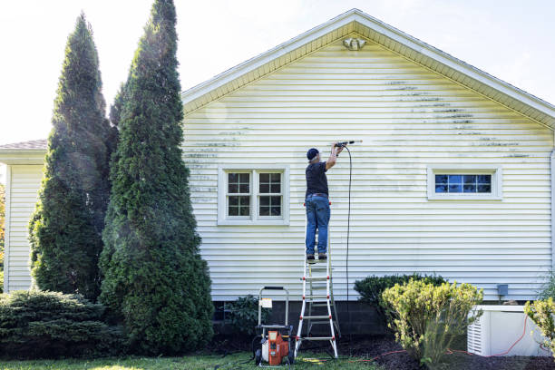 Best Roof Cleaning and Mildew Removal in Sebastian, TX